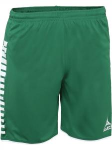 Спортивные брюки "Argentina Hose" зеленого цвета Select