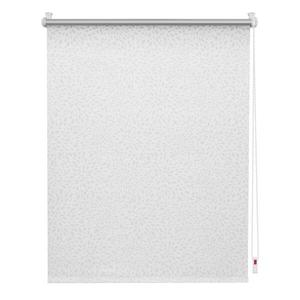 Рулонные шторы Lichtblick Exelby, 60x150x3,5 см цвет motiv print