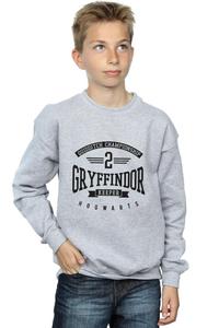 Толстовка вратаря Гриффиндора Harry Potter, серый