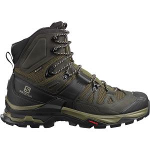 Кроссовки для треккинга Quest 4 GTX Salomon, мультиколор