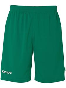 Тканевые шорты Team Shorts Kempa, зеленый