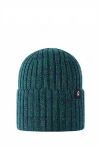 Шапка виллаиса Reima, Navy/Green