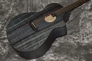 Breedlove Oregon Concerto 12 струн 2025 - Бурная ночь