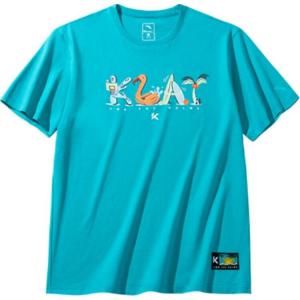 Футболка баскетбольная коллекция мужская, цвет морской соли Anta, зеленый