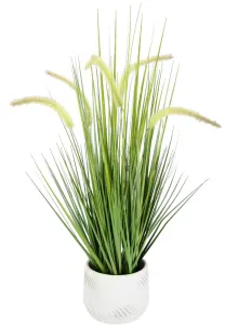 И.ГЕ.А. Искусственное растение "Лисий хвост", с кашпо Украшение из искусственной травы Щетина Просо Panicoideae Сладкая трава Setaria I.GE.A. 28х67х28 см, зеленый
