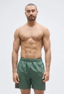 Боксерские шорты fundamentals с логотипом Arena, Sage/Red