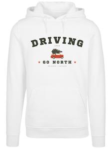 Толстовка F4NT4STIC, белый