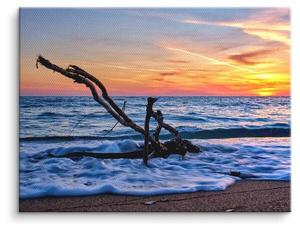 Картина на холсте ArtMind Treibholz am Strand, многоцветный