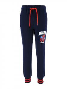 Спортивные брюки Spiderman, синий