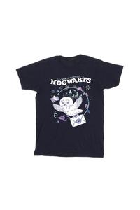Хлопковая футболка «Письмо совы из Хогвартса» Harry Potter, темно-синий