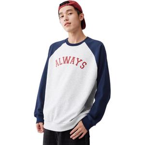 361° Свитшот мужской Primary Flower серый/Mica Blue с круглым вырезом Moderate Regular