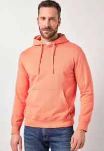 Винтажный стиль до худи Jp1880, Mahogany