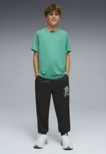 Спортивные штаны для активного отдыха Puma, Puma Black