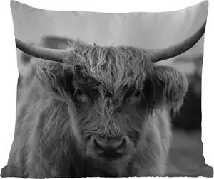 Подушка для улицы - Шотландский высокогорный скот - Корова - Трава - Животные - Природа - 60 x 60 см - Устойчива к погодным условиям - Подушка для отдыха - Декоративная подушка - Подушка для сна MuchoWow