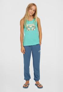 Спортивные штаны SCRIPT O'Neill, синий