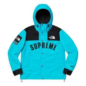 Куртка Supreme SS19 x The North Face Arc Logo Mountain Parka LightBlue SUP-SS19-551, синий