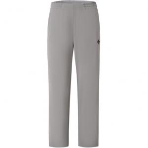 Спортивные штаны для катания на лыжах мужские DESCENTE, серый