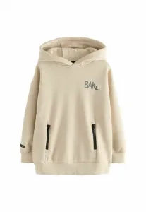 Свитер с графическим принтом и стандартным кроем спинки Baker By Ted Baker, Stone