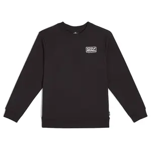 Толстовка O´neill Logo, черный