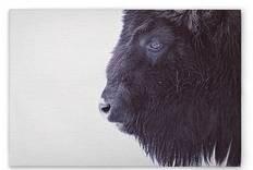 Картина на холсте A.S. Création Black Buffalo, черно-белый