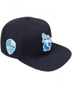Мужская черная бейсболка Cheyney Wolves с аркой и логотипом Evergreen Snapback Pro Standard