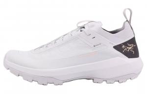 Кроссовки походные мужские Arcteryx Vertex GTX, серый