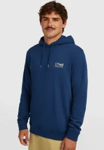 Оригинальная калифорнийская толстовка O'Neill, English Evening