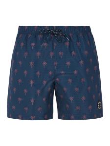 PROTEST Шорты для серфинга 'PRTALVIS' в синем цвете