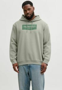 Толстовка Jack & Jones JORGREENE HOOD , Seagrass/Green