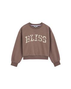 WE Fashion Свитшот в цвете Brown, Dark Brown