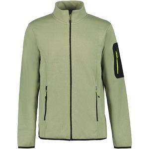 Нижняя куртка Бредстедт Icepeak, цвет spargel