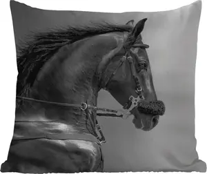 Подушка для улицы - Лошади - Черный - Портрет - Животные - 50x50 см - Водонепроницаемая - Подушка для отдыха - Удобная - Подушка с рисунком MuchoWow
