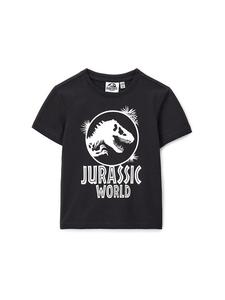 Футболка обычного кроя DFPV2265CM Original Marines, черный