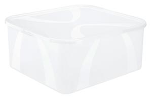 Коробка с крышкой arco Rotho, прозрачный