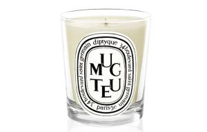 Практическая ароматерапия Diptyque, lily of the valley 190g