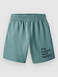 Шорты O'Neill Future Surf Kids Shorts, north atlantic