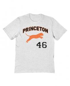 Мужская футболка с рисунком Jumping Tiger MONSTER DIGITAL TSC, серый