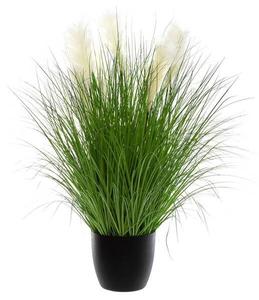 Декоративное растение Atmosphera Créateur d'intérieurs Gras, 110x105x110 см, многоцветный