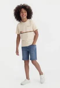 Футболка унисекс с графическим принтом Patagonia, Swelldrifter