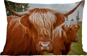 Подушка для улицы - Шотландский высокогорный скот - Коричневый - Трава - 60 x 40 см - Водонепроницаемая - Подушка для отдыха - Декоративная подушка - Подушка для дома MuchoWow
