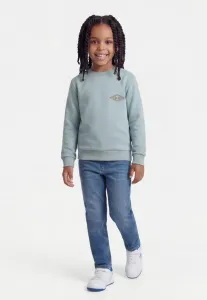 Унисекс толстовка foundation Billabong, White/Blue