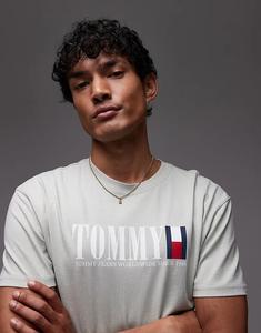 Футболка Tommy Jeans с линейным логотипом-флагом в цвете шалфейно-зеленый