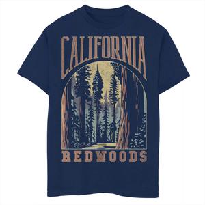 Футболка с рисунком California Redwoods Forest Trees для мальчиков 8–20 лет Licensed Character