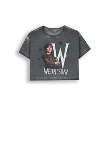 Футболка Coccodrillo, серый