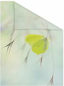 LICHTBLICK ORIGINAL оконная пленка "Butterfly Green", 1 шт., непрозрачная, структурированные клейкие точки, самоклеящаяся, защита конфиденциальности 100х100 см, зеленый