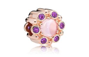 Pandora Jewelry Accessories Women's Rose Gold