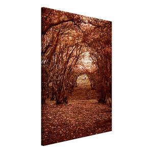 Фреска Artgeist Fulfilled Dreams, коричневый