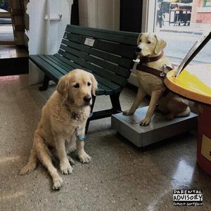 Виниловая пластинка Good Morning - Option (Red)