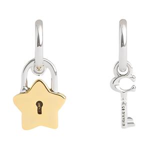 COACH Кубические циркониевые серьги унисекс серебро