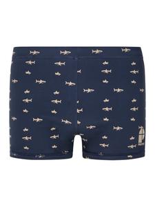 PROTEST Шорты для серфинга 'PRTIvaro JR' в пастельно-голубом цвете